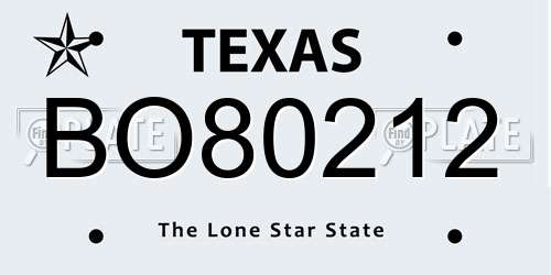 BO80212 Texas License Plate
