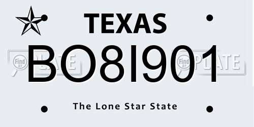 BO8I901 Texas License Plate