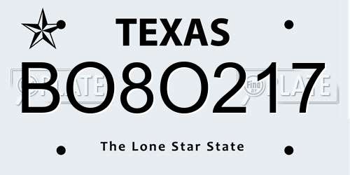 BO8O217 Texas License Plate