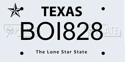 BOI828 Texas License Plate