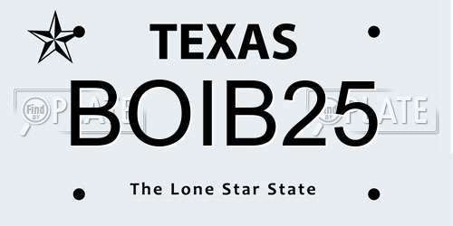 BOIB25 Texas License Plate