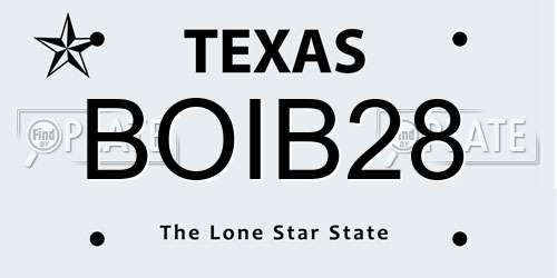 BOIB28 Texas License Plate