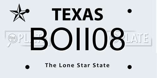 BOII08 Texas License Plate