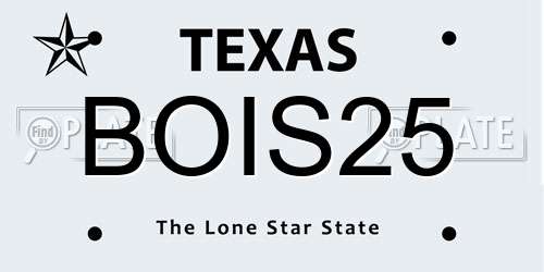 BOIS25 Texas License Plate