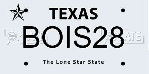 BOIS28 Texas License Plate