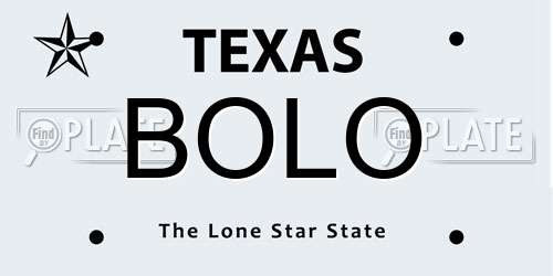 BOLO Texas License Plate