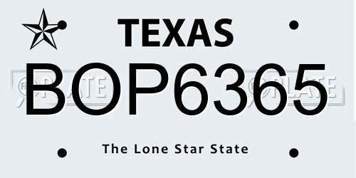 BOP6365 Texas License Plate