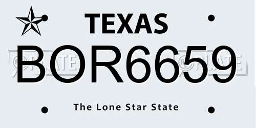 BOR6659 Texas License Plate