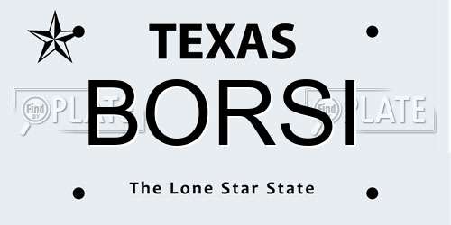 BORSI Texas License Plate