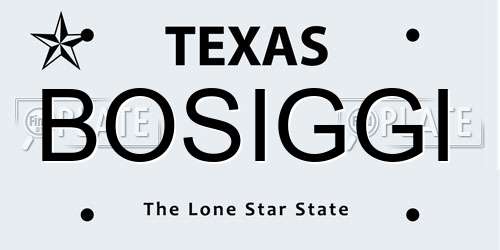 BOSIGGI Texas License Plate