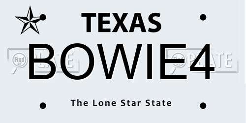 BOWIE4 Texas License Plate