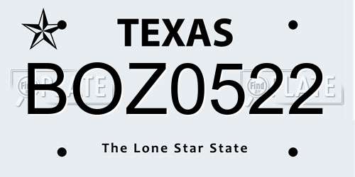 BOZ0522 Texas License Plate