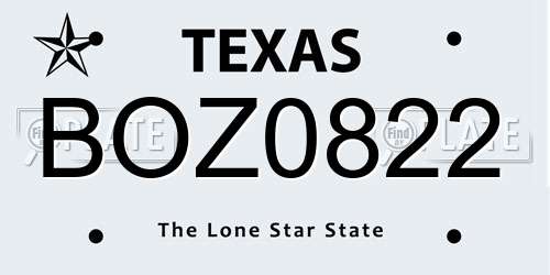 BOZ0822 Texas License Plate
