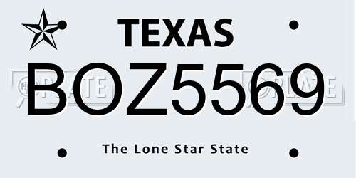 BOZ5569 Texas License Plate