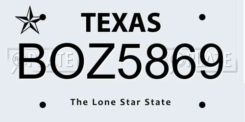 BOZ5869 Texas License Plate