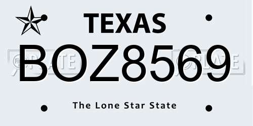 BOZ8569 Texas License Plate