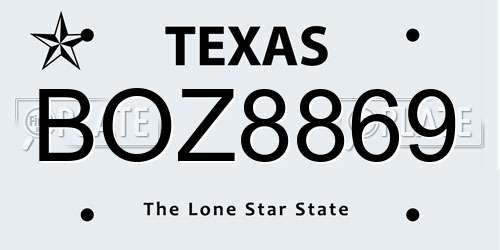 BOZ8869 Texas License Plate