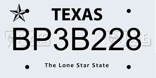 BP3B228 Texas License Plate