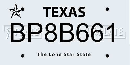 BP8B661 Texas License Plate