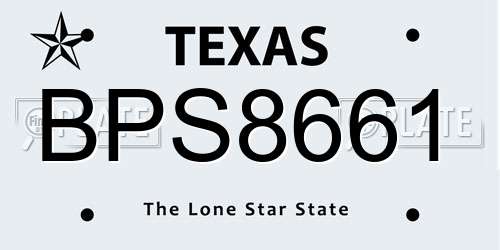 BPS8661 Texas License Plate