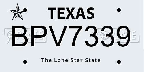 BPV7339 Texas License Plate