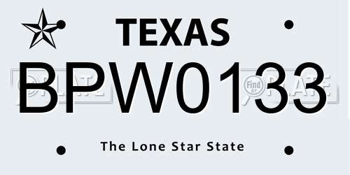 BPW0133 Texas License Plate
