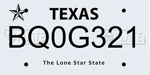 BQ0G321 Texas License Plate