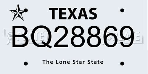 BQ28869 Texas License Plate