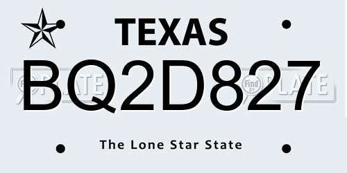BQ2D827 Texas License Plate