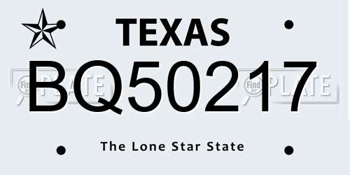 BQ50217 Texas License Plate