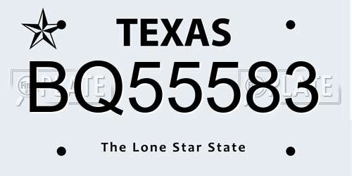 BQ55583 Texas License Plate