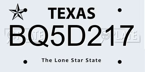 BQ5D217 Texas License Plate