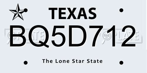 BQ5D712 Texas License Plate