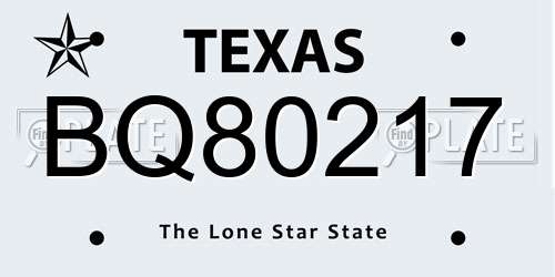 BQ80217 Texas License Plate
