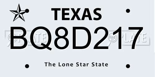 BQ8D217 Texas License Plate