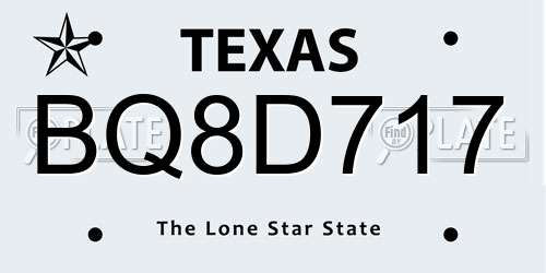 BQ8D717 Texas License Plate