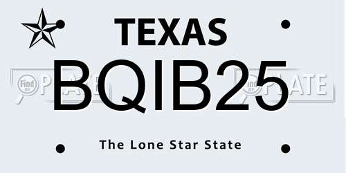 BQIB25 Texas License Plate
