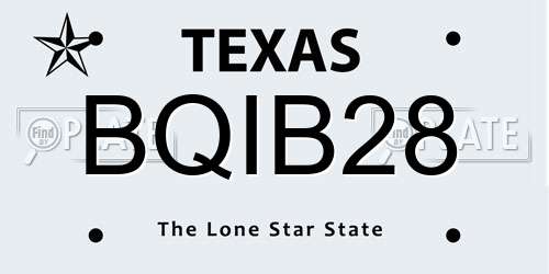 BQIB28 Texas License Plate