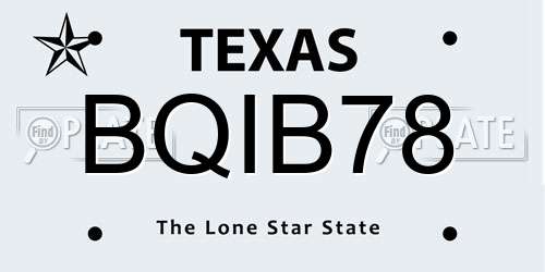 BQIB78 Texas License Plate
