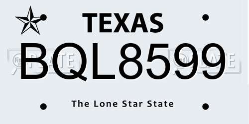 BQL8599 Texas License Plate