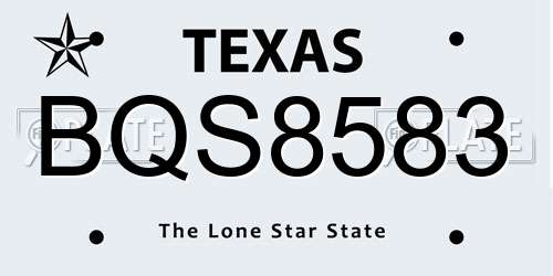 BQS8583 Texas License Plate