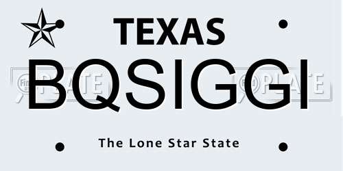 BQSIGGI Texas License Plate