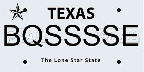 BQSSSSE Texas License Plate
