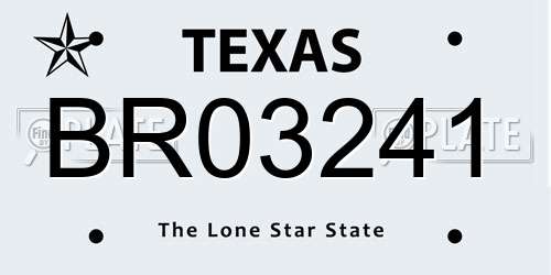 BR03241 Texas License Plate