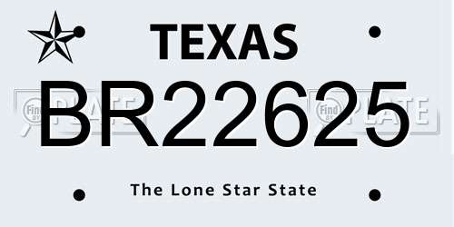BR22625 Texas License Plate