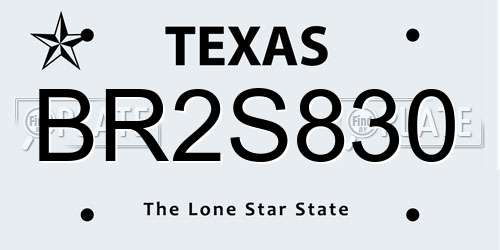 BR2S830 Texas License Plate