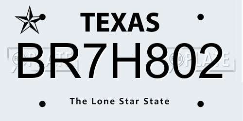 BR7H802 Texas License Plate