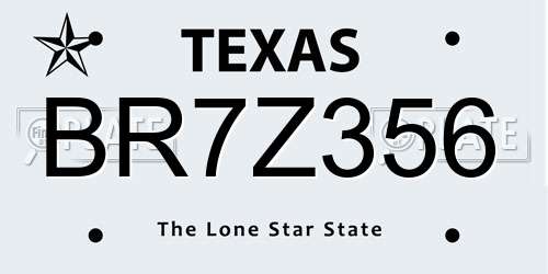 BR7Z356 Texas License Plate