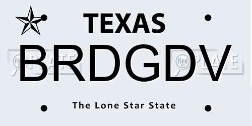 BRDGDV Texas License Plate