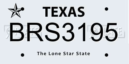 BRS3195 Texas License Plate